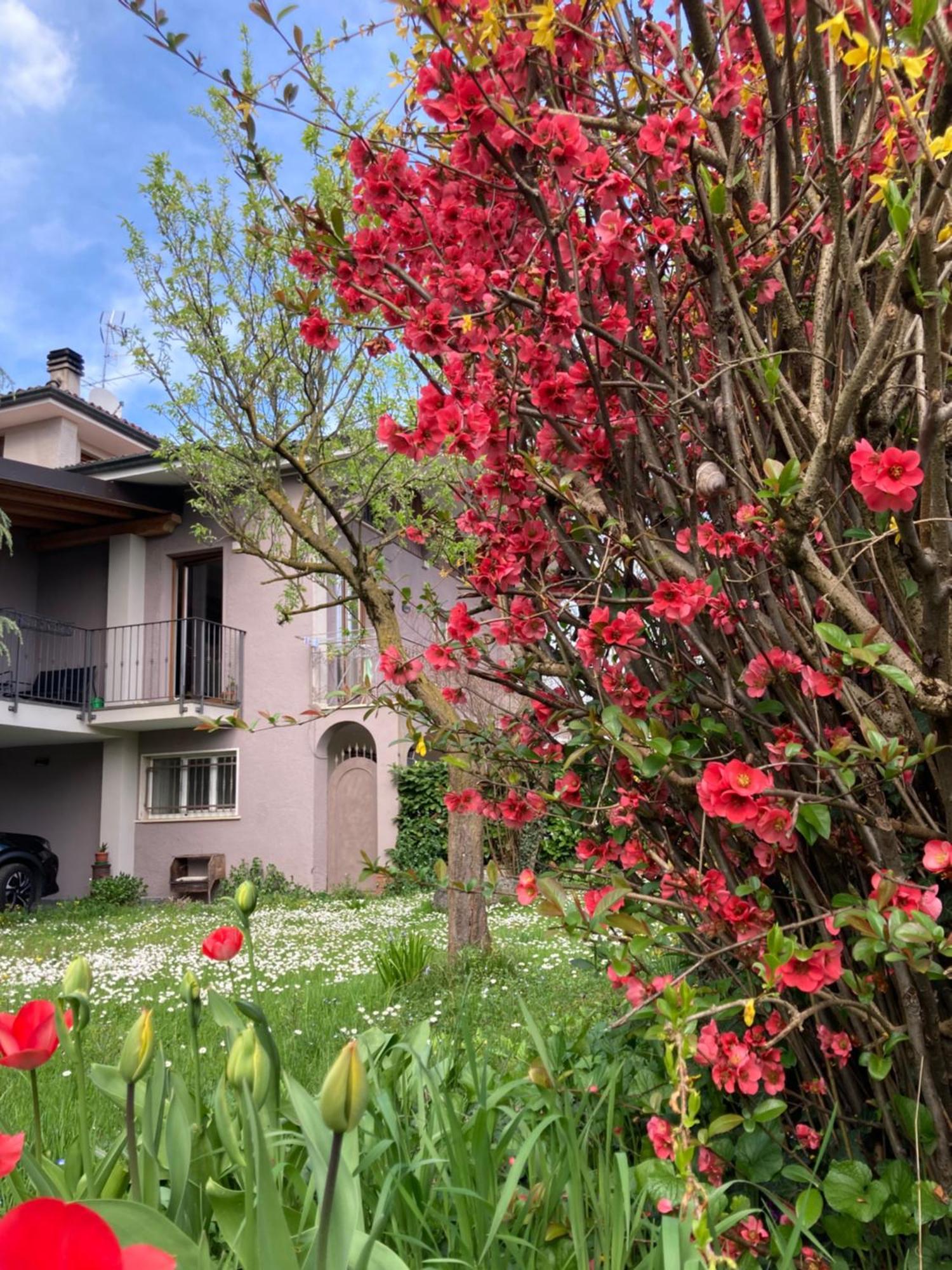 Al Clisi Graziosa Mansarda Apartamento Villanuova sul clisi Exterior foto